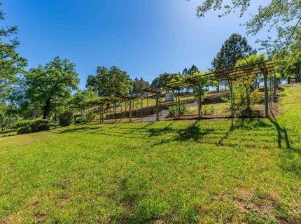 6650 Starlight Ln, Mountain Ranch, CA 95246 Photo