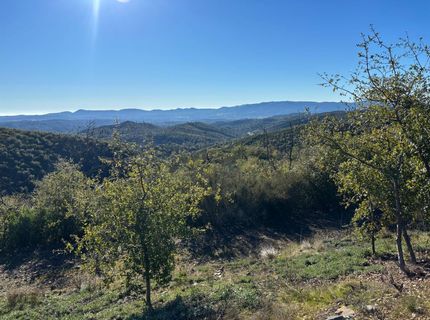 6650 Starlight Ln, Mountain Ranch, CA 95246 Photo