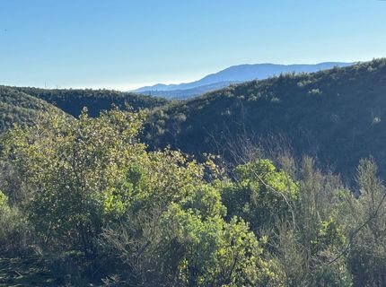 6650 Starlight Ln, Mountain Ranch, CA 95246 Photo