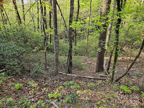 0 Huntington Road, Lake Lure, NC 28746