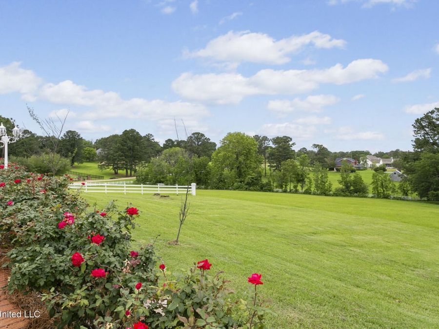 Property Image 55