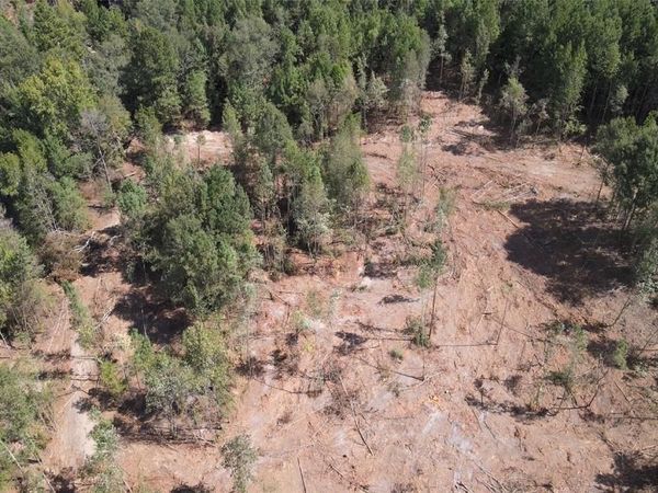 500 Uren Lee Road, Overton, TX 75684