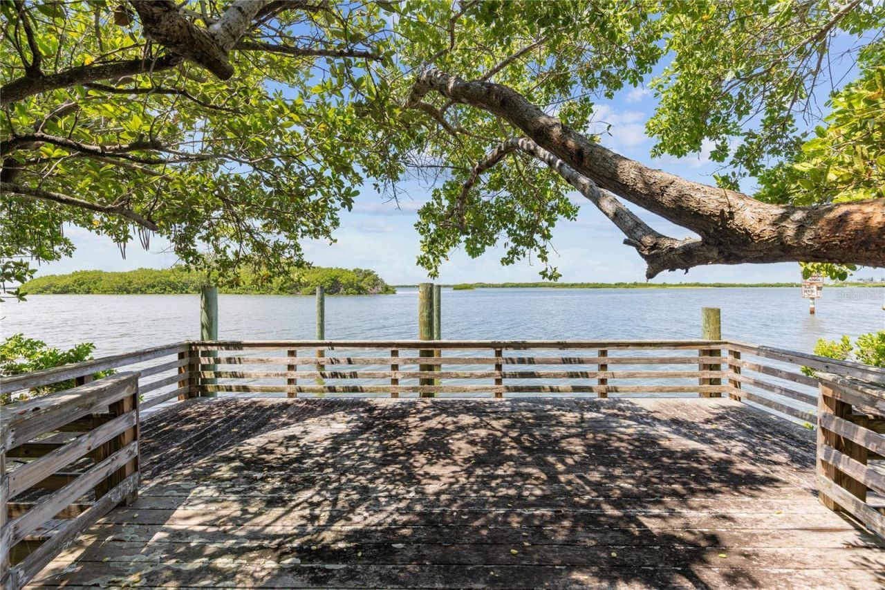 1571 Oceanview Drive, Saint Petersburg, FL 33715 Photo