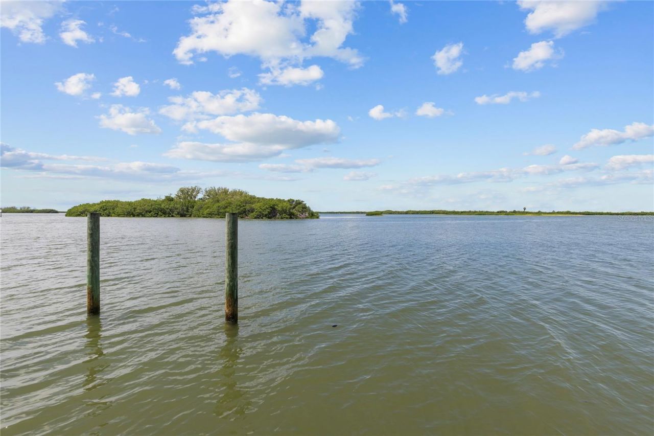 1571 Oceanview Drive, Saint Petersburg, FL 33715 Photo