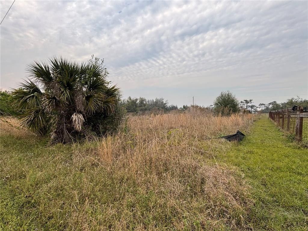 31083 Peace Street, Punta Gorda, FL 33982 Photo