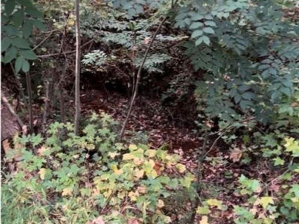 2531 Mohawk Trail, Acworth, GA 30102