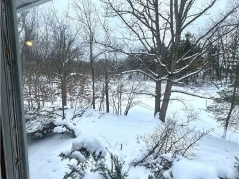 7791 Hoertz Road, Parma, OH 44134 Photo 26