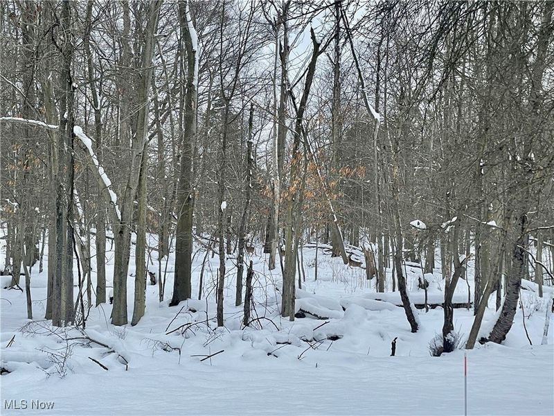 7791 Hoertz Road, Parma, OH 44134 Photo 29