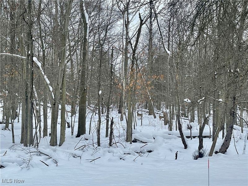 7791 Hoertz Road, Parma, OH 44134 Photo 30