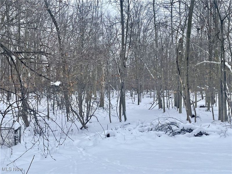 7791 Hoertz Road, Parma, OH 44134 Photo 2