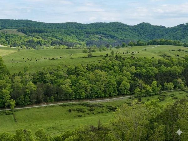 594 D Little Wolf Creek Rd, Hinton, WV 25951