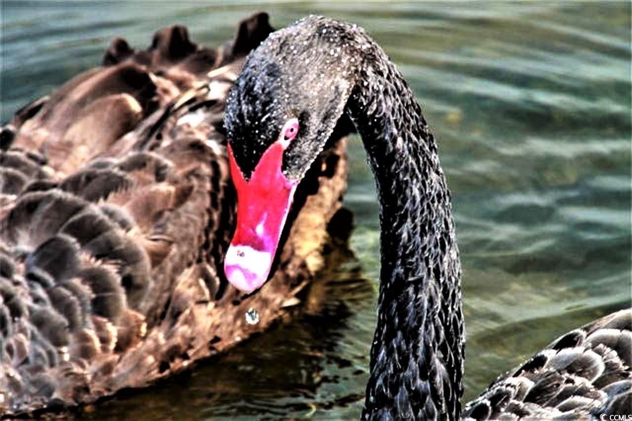 410 Melrose Pl. Photo 40