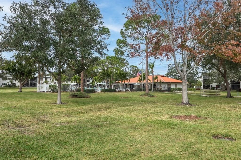 4910 Bay Street Ne, Unit 109, Saint Petersburg, FL 33703 Photo