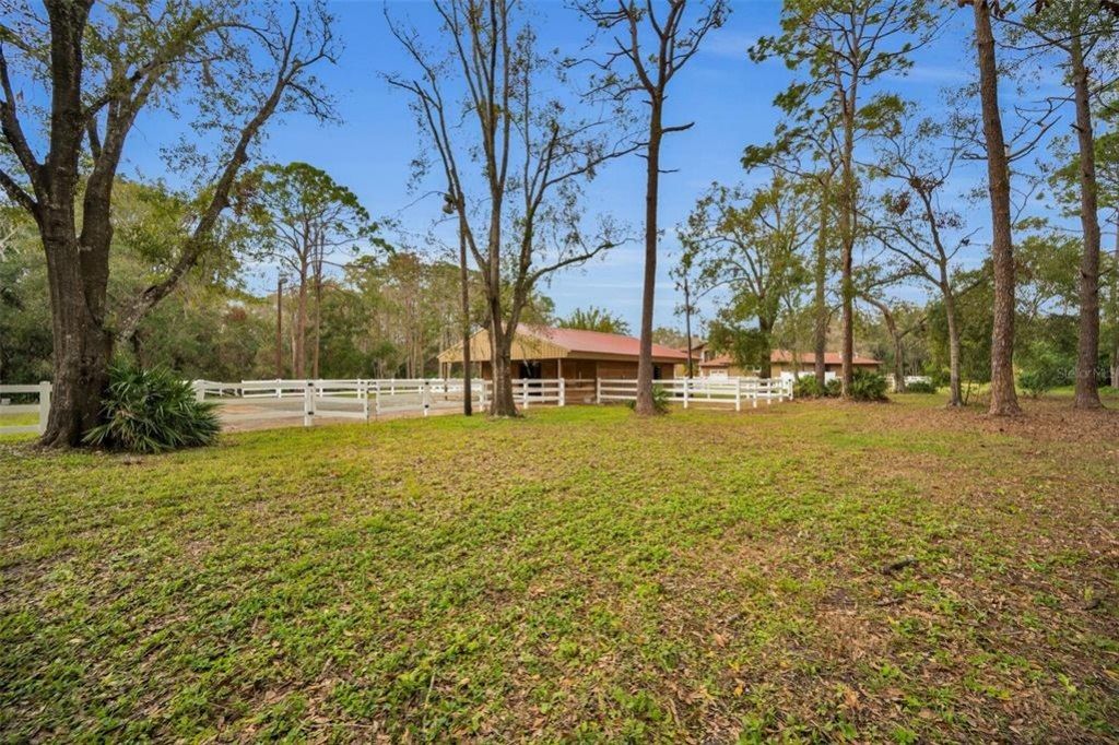 249 Dogwood Trace, Tarpon Springs, FL 34688 Photo