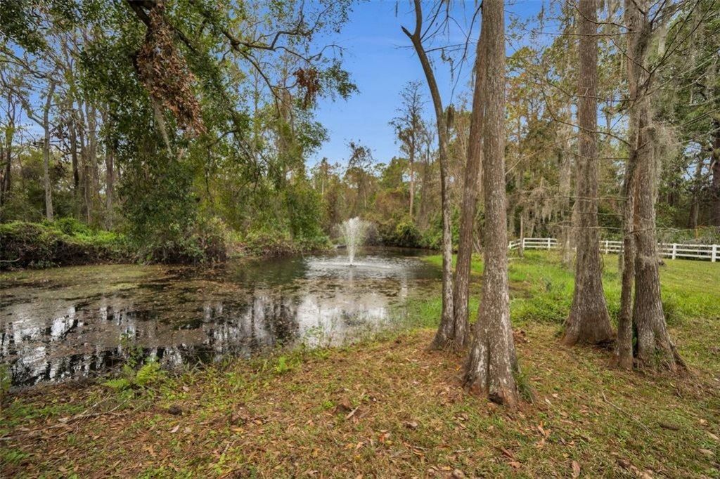 249 Dogwood Trace, Tarpon Springs, FL 34688 Photo