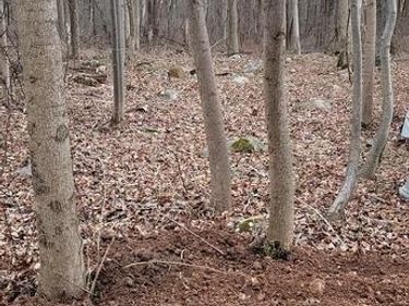 915 NARRAGANSETT TRAIL, ALBRIGHTSVILLE, PA 18210