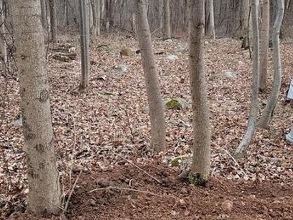 915 NARRAGANSETT TRAIL, ALBRIGHTSVILLE, PA 18210