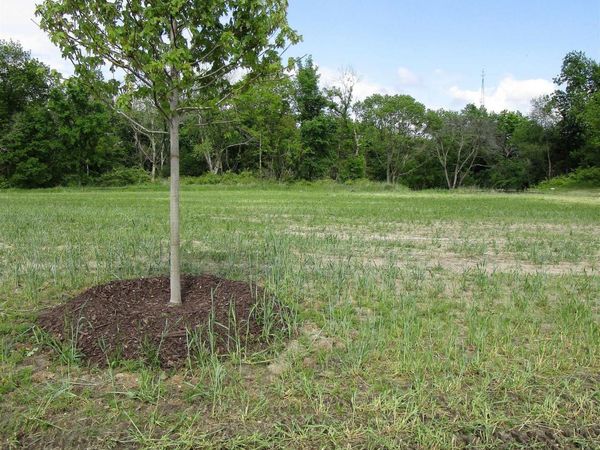 1006 Palisades Court, Iowa Falls, IA 50126