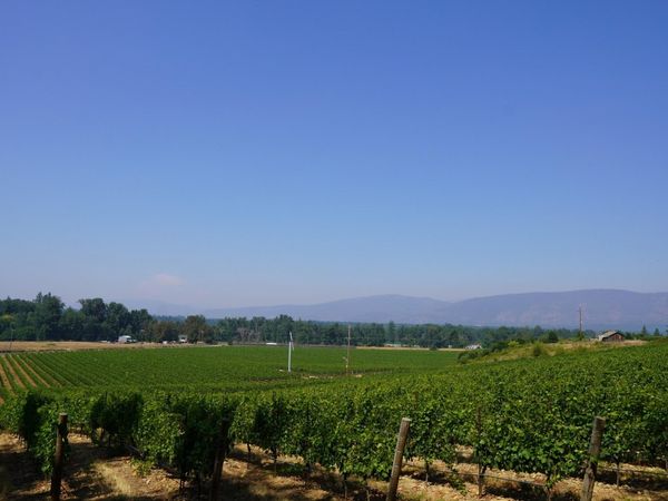 2789 Holland Loop Road, Cave Junction, OR 97523