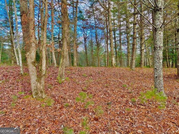 0 Hawks View, Morganton, GA 30560