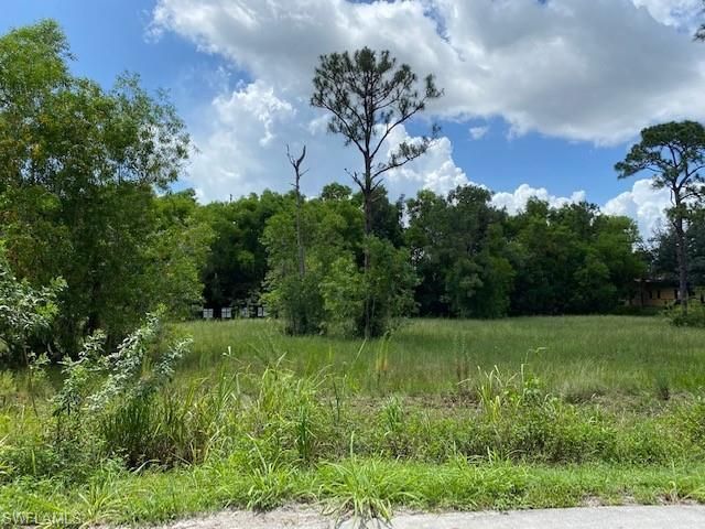 15100 & 15200 Elderberry Ln, Fort Myers, FL 33907 Photo