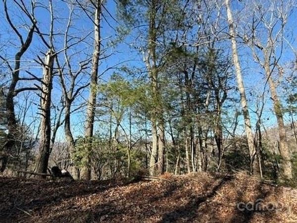 0 Bird Dog Boulevard, Lake Lure, NC 28746