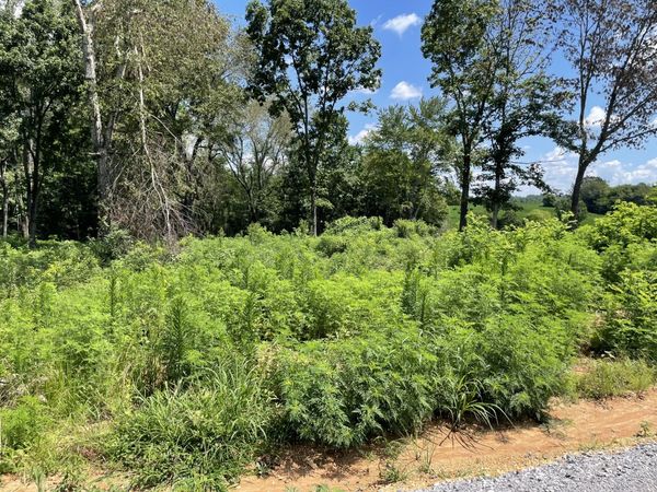 0 Hidden Hills Lane, Summertown, TN 38483