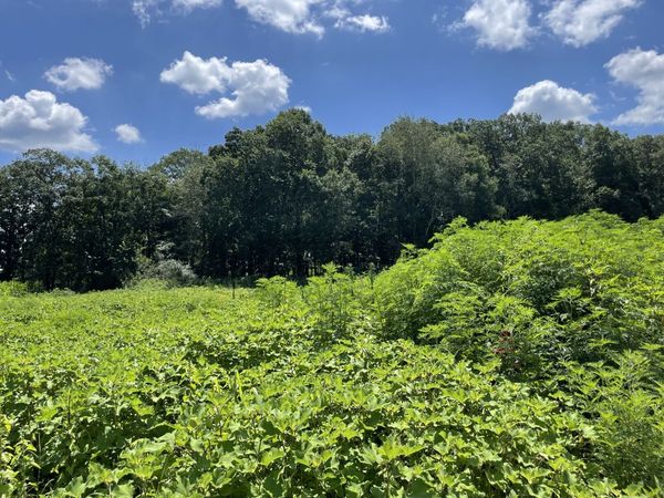 0 Hidden Hills Lane, Summertown, TN 38483