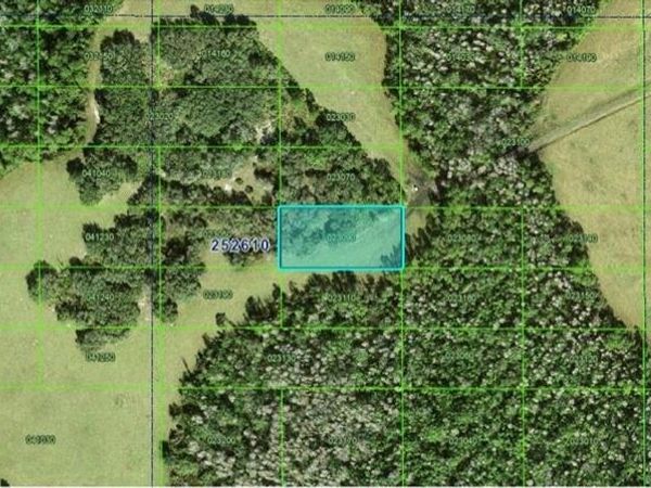 TALL PINE ROAD, POLK CITY, FL 33868