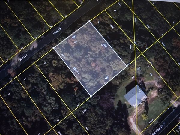 10 Vicki Drive, Lake View, AL 35111