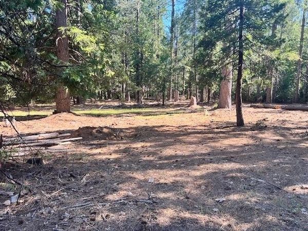 10434 Wentworth Springs Rd, Georgetown, CA 95634