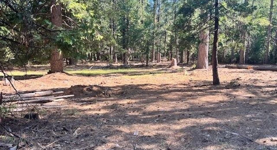 10434 Wentworth Springs Rd, Georgetown, CA 95634 Photo