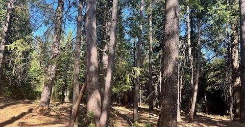 10434 Wentworth Springs Rd, Georgetown, CA 95634 Photo