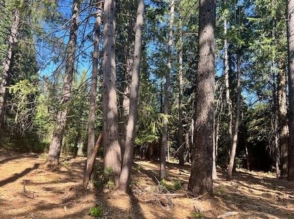 10434 Wentworth Springs Rd, Georgetown, CA 95634 Photo