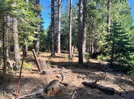 10434 Wentworth Springs Rd, Georgetown, CA 95634 Photo