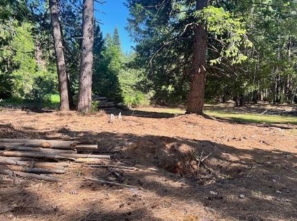 10434 Wentworth Springs Rd, Georgetown, CA 95634 Photo