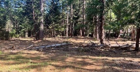 10434 Wentworth Springs Rd, Georgetown, CA 95634 Photo