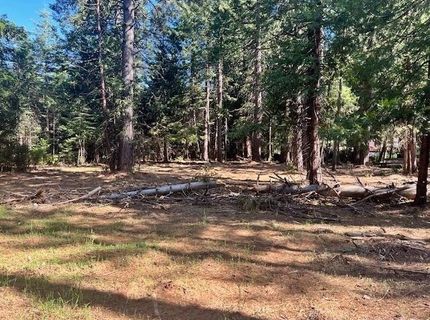 10434 Wentworth Springs Rd, Georgetown, CA 95634 Photo