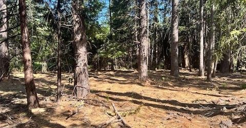 10434 Wentworth Springs Rd, Georgetown, CA 95634 Photo