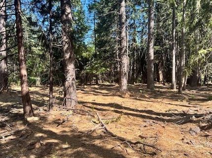 10434 Wentworth Springs Rd, Georgetown, CA 95634 Photo