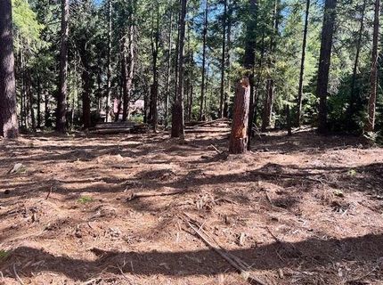 10434 Wentworth Springs Rd, Georgetown, CA 95634 Photo