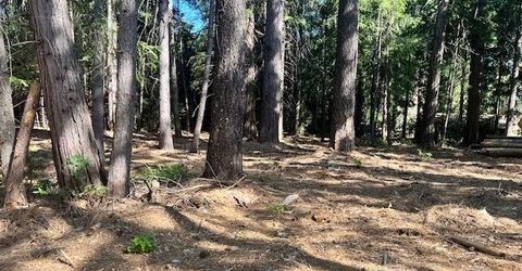 10434 Wentworth Springs Rd, Georgetown, CA 95634 Photo