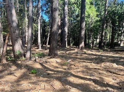 10434 Wentworth Springs Rd, Georgetown, CA 95634 Photo