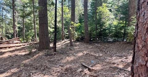 10434 Wentworth Springs Rd, Georgetown, CA 95634 Photo