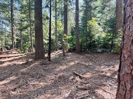 10434 Wentworth Springs Rd, Georgetown, CA 95634 Photo