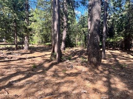 10434 Wentworth Springs Rd, Georgetown, CA 95634 Photo