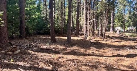 10434 Wentworth Springs Rd, Georgetown, CA 95634 Photo