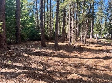 10434 Wentworth Springs Rd, Georgetown, CA 95634 Photo