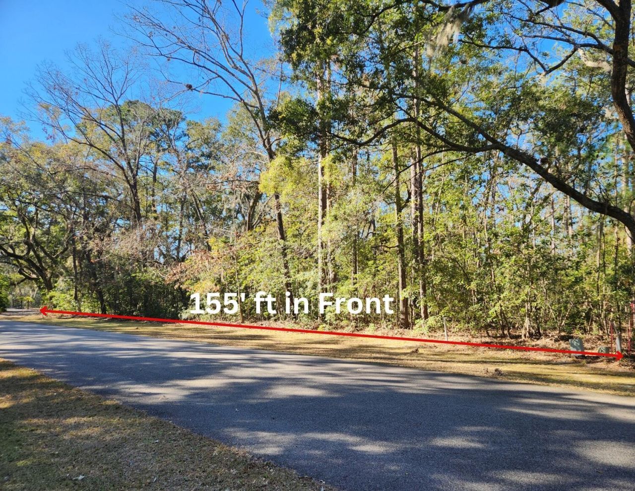 88 Tomotley Barony Drive Photo 11