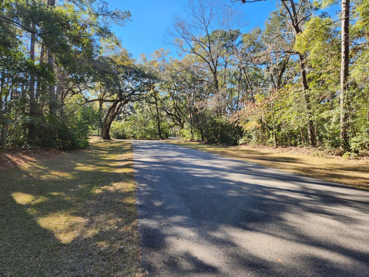 88 Tomotley Barony Drive Photo 12